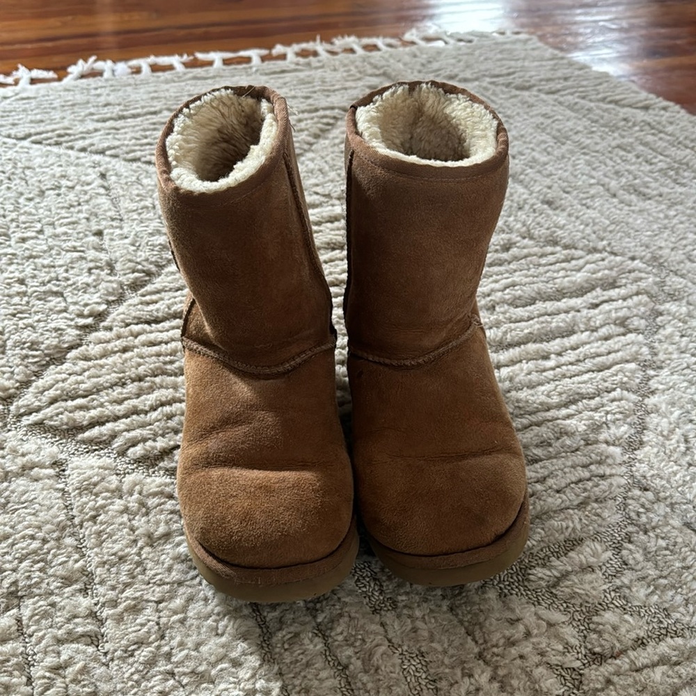 Short Chestnut Uggs